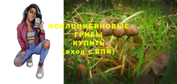 соль курить ск Чегем