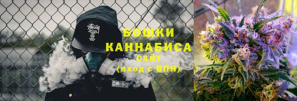 твердый Чекалин