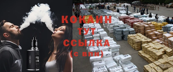 шишки Армянск
