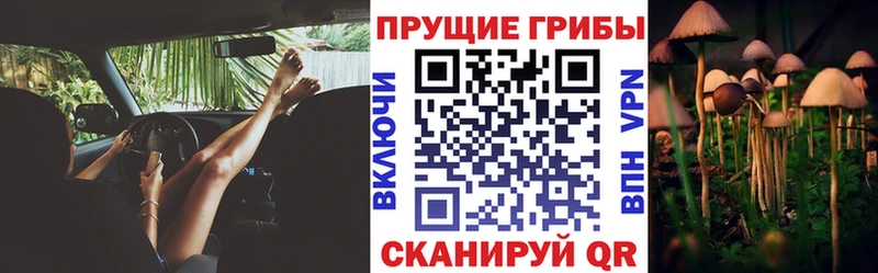 закладка  Югорск  Псилоцибиновые грибы прущие грибы 