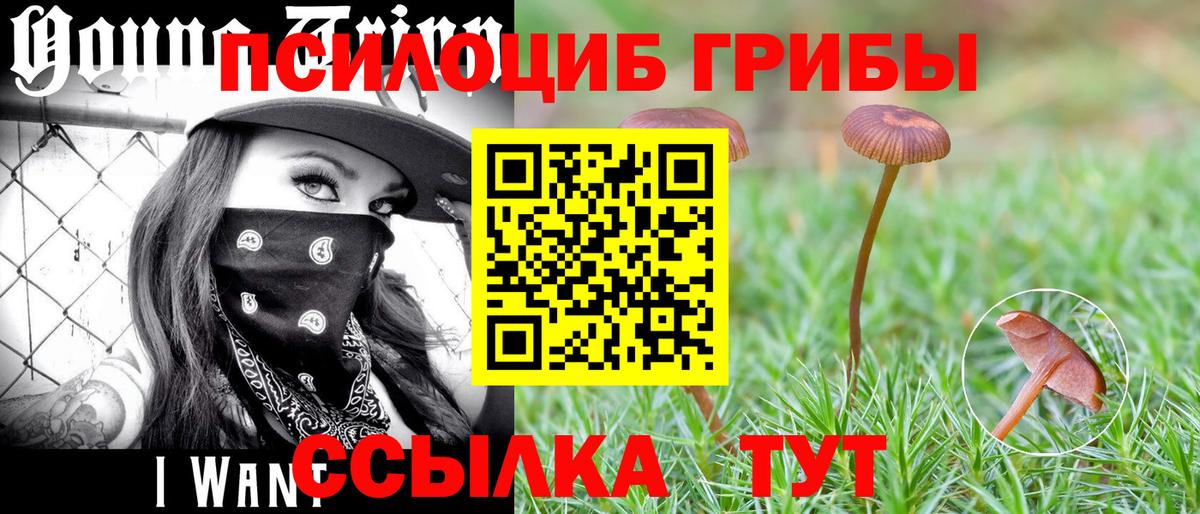 Галлюциногенные грибы прущие грибы Югорск